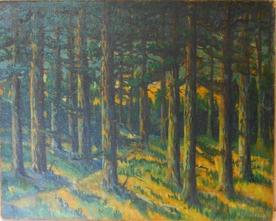 Wald von Gregor Perusek